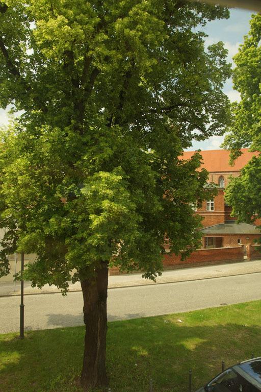 Fewo Auf Der Dominsel-Domlinden Brandenburg  Ruang foto